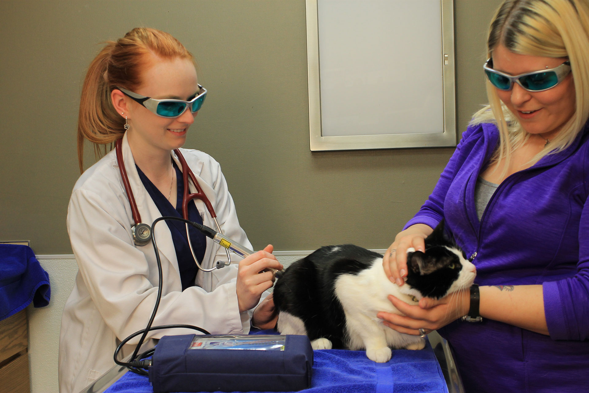 Laser Therapy Naples, FL 